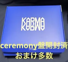 StrayKids KARMA 青箱盤 開封済 フライヤーおまけトレカ付 スキズ