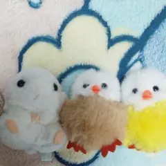 ひよこ　ハムスター　マスコット