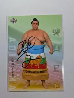 Item thumbnail for item 89b42369-f955-445c-a629-2380a80729bb