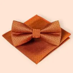 Item thumbnail for item e0a90e13-1da1-411e-a6d6-cc82e1e4e69a