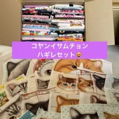 コヤンイサムチョン19匹　ハギレセット