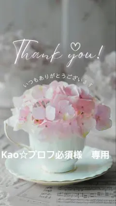 2026年最新】プロフご確認下さいの人気アイテム - メルカリ