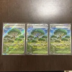 t*0様 活力の森 スタジアムカード 3枚セット