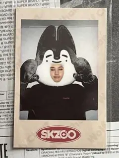 straykids バンチャン 着ぐるみ トレカ ポラロイド