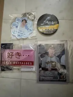 Item thumbnail for item ead4be69-a651-4738-9662-6d73a66bd13b