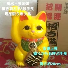 8/4迄特別値引✨風水・金運招き猫》黄色猫 右手上げ8号手長 特別製作現品限りのサムネイル