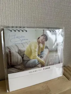 Item thumbnail for item 3bc0da77-8166-4214-a287-69c400dc908d