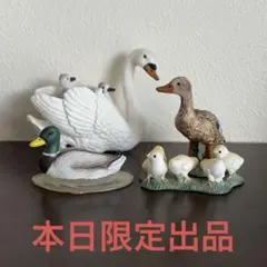 【廃盤品あり】レア シュライヒ 動物フィギュア 4体 鳥類