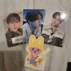 本日発送　チャンビン