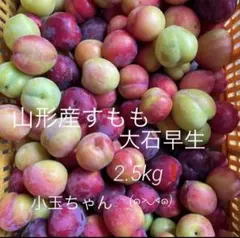山形産すもも大石早生　小玉ちゃん2. 5kg❗️のサムネイル