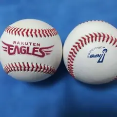 実使用】東北楽天ゴールデンイーグルス チーム練習用硬式球 2球セット