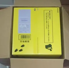 専用BOX付き ポケモン30周年記念 おかえり!ピカチュウ1/1 ぬいぐるみ