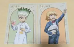 Dr.STONE 七海龍水 特典 両面イラストカード ロフト 幼少期 - メルカリ