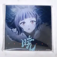 ゼンゼロ 2周年 星見雅 アクリルプレート - メルカリ