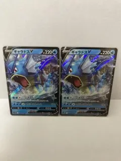 ポケカ　ギャラドス　V RR 2枚セット