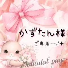 かずたん様 リクエスト 2点 まとめ商品