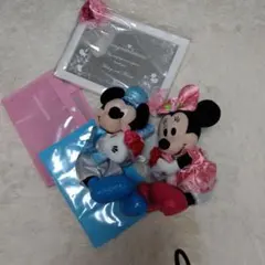 ディズニーミッキーミニー５点セット