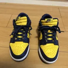 chiba様専用 Nike キッズスニーカー パワーパフガールズ バブルス