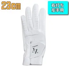 Item thumbnail for item 46f2e380-d2cf-4cbb-84d9-a9ada0094369