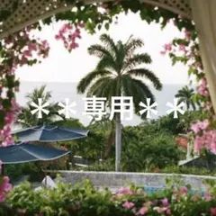 いっく*‾ʖ̫‾ *✲゜様 リクエスト 2点 まとめ商品