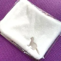 すべての幸運を手にした男　川島如恵留主演　ポーチ　20×15㎝