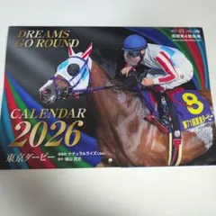 南関東4競馬場　カレンダー 2026