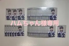 ハムちゃん様専用