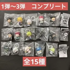 HUNTER×HUNTER めじるしアクセサリー　フルコンプリート　全15種