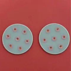 LAVA デジタルデトックス アーシングパット 2個セット