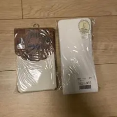 Item thumbnail for item 3dbce21a-5689-42f7-9c6e-ab9a47b25728