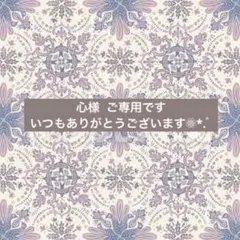 心様 ご専用です 引き揃え糸 毛糸 サマーヤーン ファンシーヤーン 素材糸