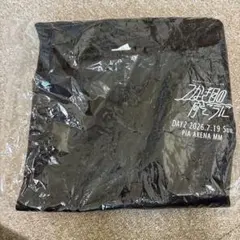 MyGO!!!!! 9thライブ 特製ドライビッグTシャツ DAY2