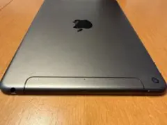 Apple iPad スペースグレー 本体　mini セルラー　256 ケーブル
