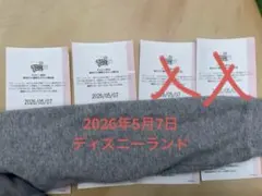 2026年最新】ハッピーエントリー ディズニーの人気アイテム - メルカリ