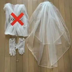 結婚式新婦小物4点セット　ベール　グローブ　イヤリング　アクセサリー