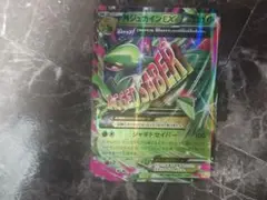 MジュカインEX THE BEST OF XY 007/171