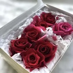 未使用】florever フロールエバー スタンダードローズステム付 12本