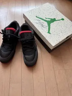 最終値下げNike Air Jordan 4 RM 30 cm エアジョーダン