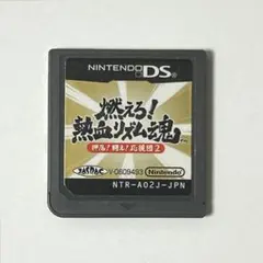 燃えろ! 熱血リズム魂! 押忍! 闘え! 応援団2 DS