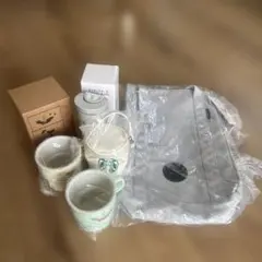 スタバ　マグカップとバッグのセット