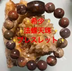 ✨希少✨法螺天珠✨ブレスレット