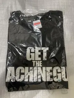 Item thumbnail for item 10b6dfd1-8400-455e-8174-095651f510af