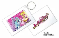 ハートキャッチプリキュア！オリジナルカードケース
