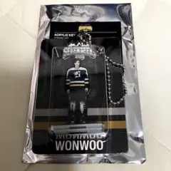 SEVENTEEN HOME アクリルキーリング ウォヌ