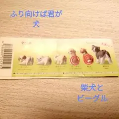 Item thumbnail for item 6050aa02-6dd8-4df8-8334-09bf40896fa5