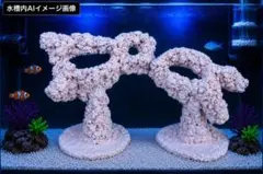水槽 擬岩 ライブロックモジュールC レッドシー レイアウトオブジェ 水槽 擬岩 ライブロックモジュールC レッドシー レイアウトオブジェ