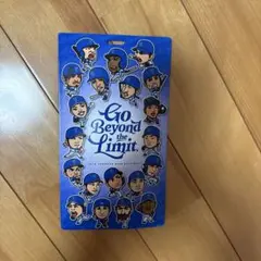 横浜DeNAベイスターズ チケットホルダー