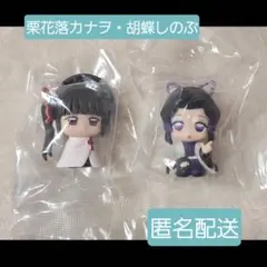 栗花落カナヲ・胡蝶しのぶ✽すわらせ隊