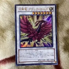 2026年最新】月華竜 ブラック・ローズの人気アイテム - メルカリ