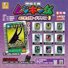 甲虫王者ムシキング ミニチュアカードアクリル オオクワガタ